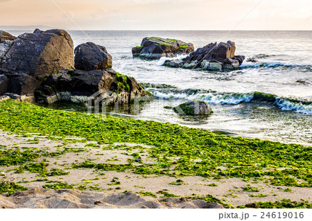 sea waves on the sandy beach 24619016