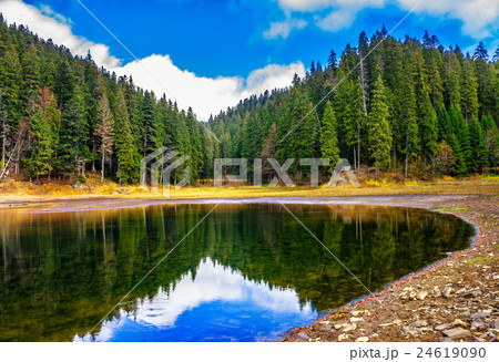 crystal clear lake near the forest in mountains 24619090