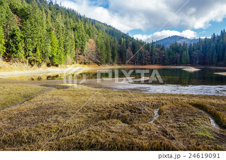 crystal clear lake near the pine forest 24619091