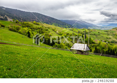 storage of firewood on hillside meadow in mountain 24619288