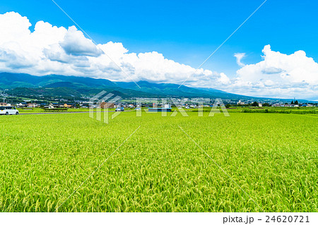 【長野県】田園風景と夏空 24620721