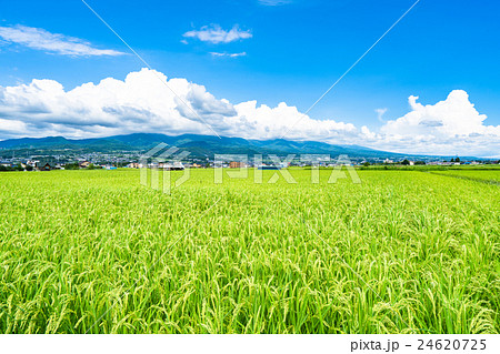 【長野県】田園風景と夏空 【長野県】田園風景と夏空 24620725