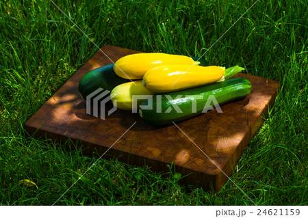 green and yellow vegetable marrow 24621159