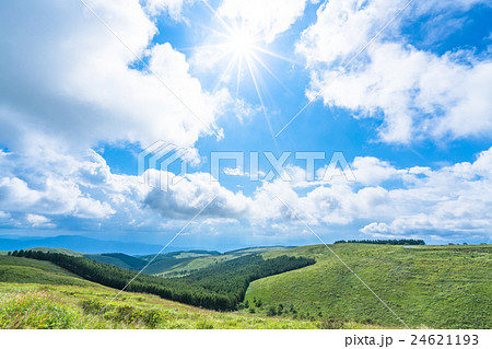 【長野県】山の自然風景【夏】 【長野県】山の自然風景【夏】 24621193