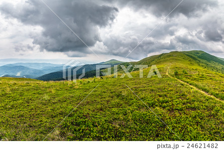 hill side meadow in summer hill side meadow in summer 24621482