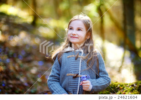 Adorable little girl picking the first flowers of spring in the woods 24621604