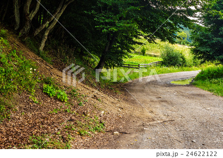 rural road to agricultural meadow 24622122