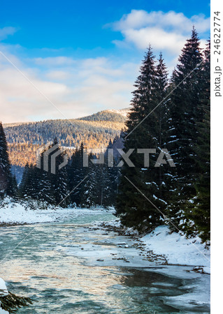 frozen river in forest 24622774