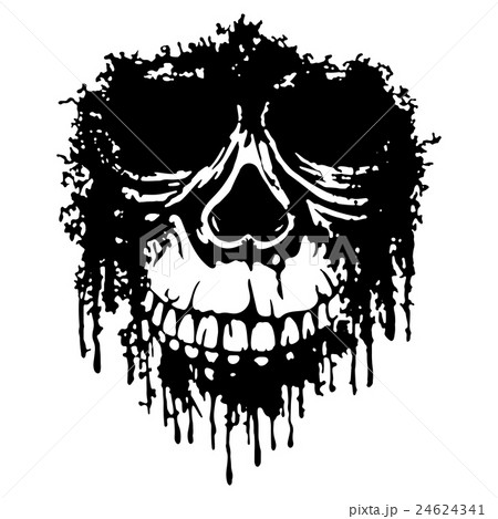 grunge skull 24624341