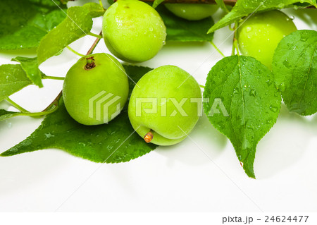 Green plum korean fruits on a white 24624477