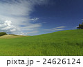 美瑛の丘 24626124