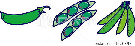 春野菜・さやえんどう・そら豆・スナップ豌豆 24626397