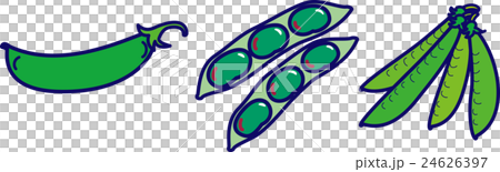 春野菜・さやえんどう・そら豆・スナップ豌豆 24626397