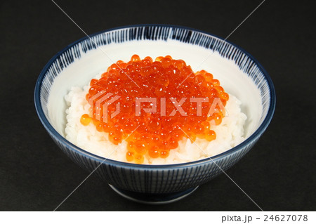 いくら丼 24627078