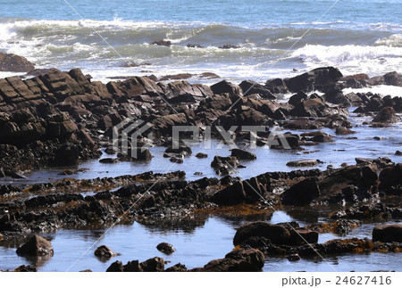 磯崎海岸 磯崎海岸 24627416