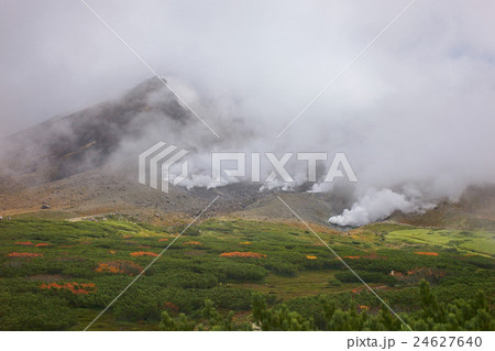 ハイマツの中にナナカマドが点在する秋の旭岳、北海道 24627640