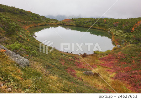 紅葉の満月沼、大雪山旭岳、北海道 紅葉の満月沼、大雪山旭岳、北海道 24627653