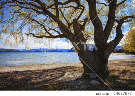 f lake wanaka new zealand 24627677