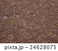 Drying coffee beans 24628075