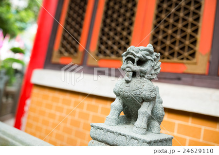 Lion statue in the chinese temple Lion statue in the chinese temple 24629110