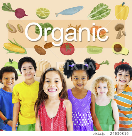 Organic Nutrition Nature Ingredients Agriculture Concept 24630316