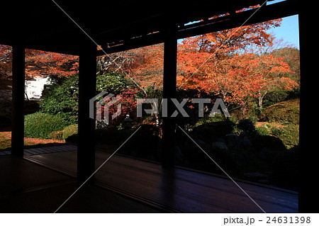 源光庵 源光庵 24631398