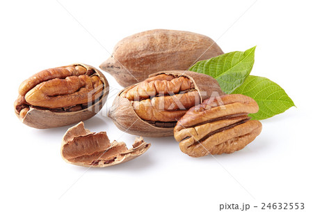 Pecan nuts in closeup Pecan nuts in closeup 24632553