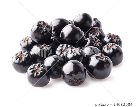 Chokeberry in closeup 24632604