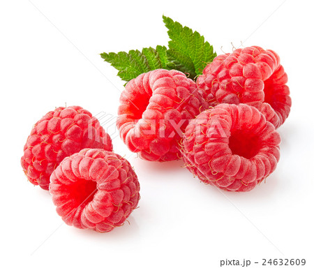 Raspberry with leaves Raspberry with leaves 24632609