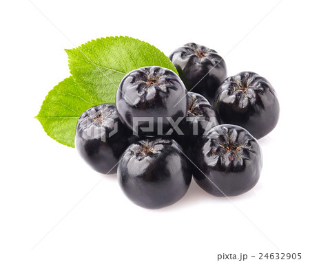 Chokeberry with leaves 24632905