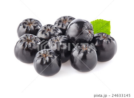 Chokeberry in closeup 24633145