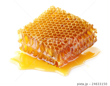 Honeycomb in closeup 24633150