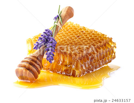 Honeycomb with lavender 24633157