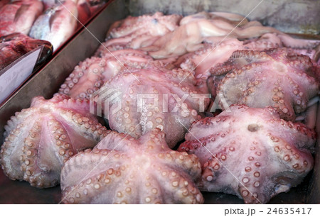 Fresh octopus in the market 24635417
