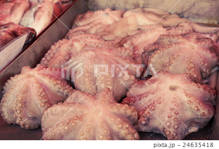 Fresh octopus at the fish market, toned image 24635418