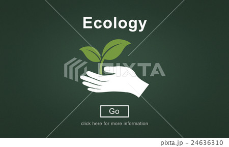 Ecology Environmental Conservation Preservation Concept 24636310