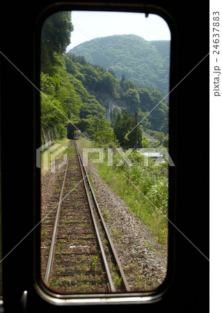 Express Yufu Codes Yufuin no Mori Japan Express Yufu Codes Yufuin no Mori Japan 24637883