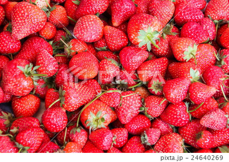 Fresh strawberry in market. Fresh strawberry in market. 24640269