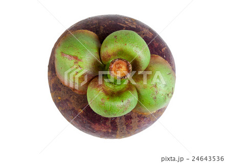 Mangosteens Queen of fruits on white 24643536