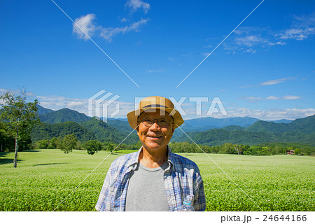 高原のソバ畑を散歩するシニア 高原のソバ畑を散歩するシニア 24644166