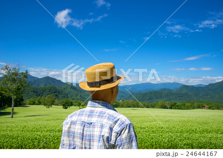 高原のソバ畑を散歩するシニア 24644167