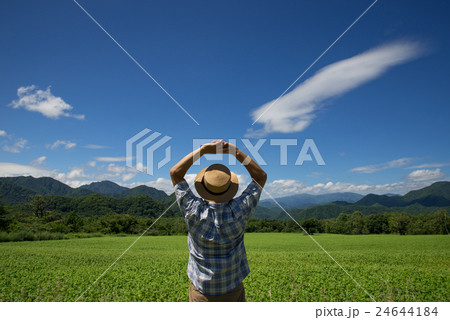 高原のソバ畑を散歩するシニア 24644184