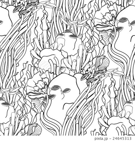 Coral reef pattern 24645313