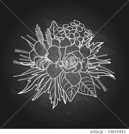 Graphic floral vignette Graphic floral vignette 24645883