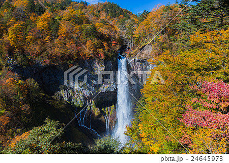 名瀑　華厳の滝の紅葉 24645973