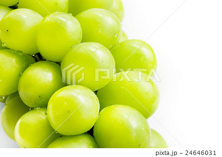 お歳暮にもぴったりなシズル感のあるシャインマスカット お歳暮にもぴったりなシズル感のあるシャインマスカット 24646031