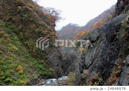 秋の惣滝【緑と紅葉と権現滝の滝口】 秋の惣滝【緑と紅葉と権現滝の滝口】 24646076