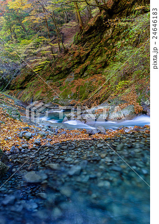 山梨　西沢渓谷　清流 24646183