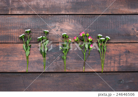 The wooden table with roses, top view The wooden table with roses, top view 24646506