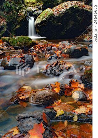 秘境 奥多摩 海沢渓谷 秘境 奥多摩 海沢渓谷 24646655